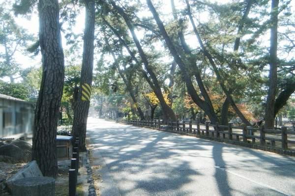 park. 150m until Shukugawa park