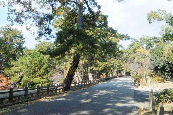park. 150m until Shukugawa park