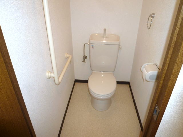 Toilet. Toilet with a handrail