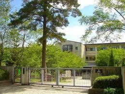 Junior high school. Kabutoryou 1000m until junior high school