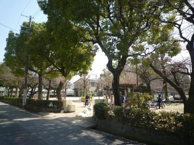 Other local