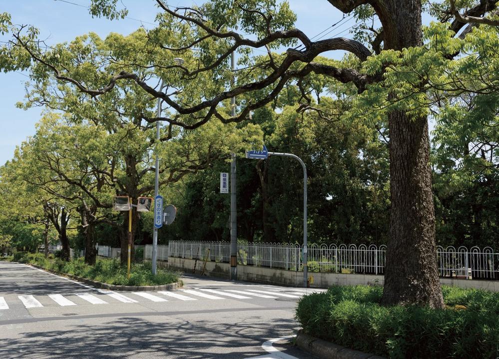 Streets around. Streets around local that revitalization in the green (about 480m). Because local surroundings of the first kind low-rise exclusive residential area, Less high building, It is a quiet, It flows calm time