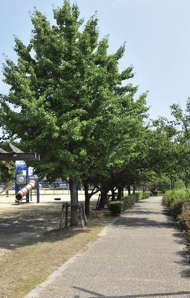 Tsumon Central Park ・ Baseball field (8 minutes, about 633m walk). A large park with a baseball field and playground equipment. Cherry tree along the river will bloom a beautiful flower in the spring of each year