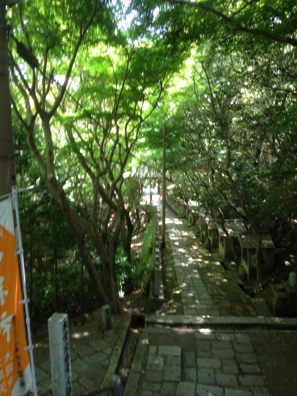 Local appearance photo. Shukugawa to Oasis Road 2-minute walk