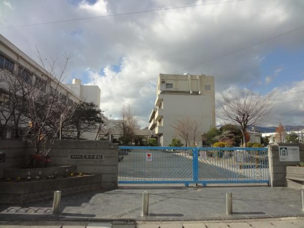Primary school. 1000m tile tree elementary school to elementary school