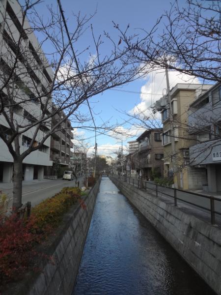 Other Environmental Photo. 300m to other Environmental Photo Shinbori course of river