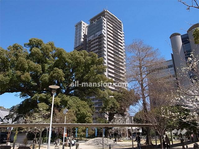 Local appearance photo. The around the site there are many planting and protecting forests.