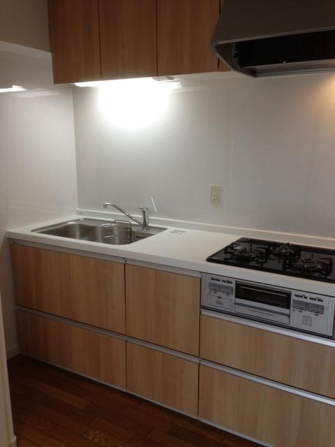 Kitchen. Indoor (10 May 2013) Shooting