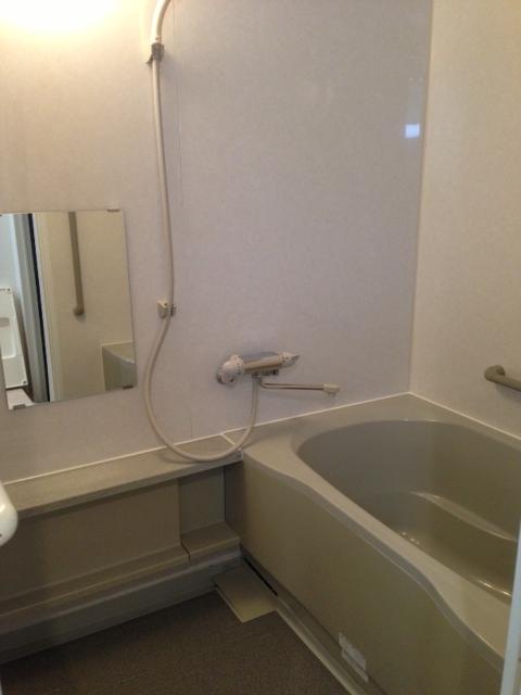 Bathroom. Indoor (10 May 2013) Shooting
