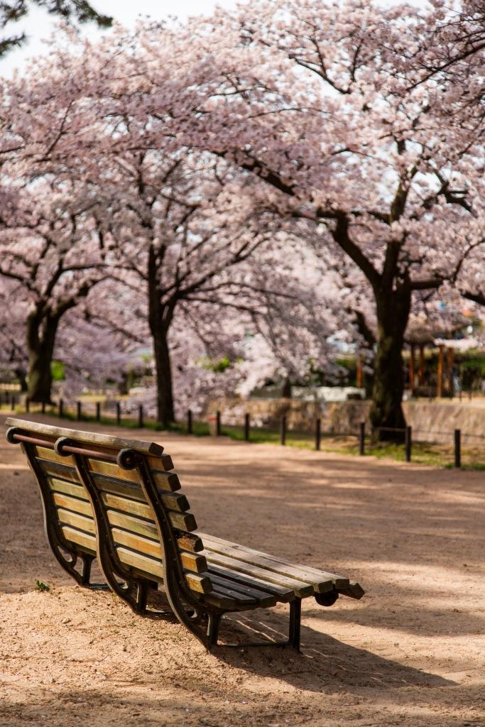 Other local. Walk up to Shukugawa park 7 minutes. 