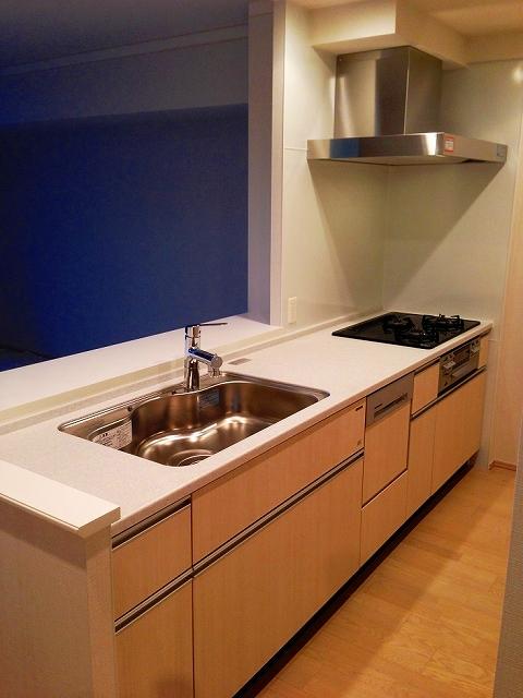 Kitchen. System is a kitchen with dish washing dryer. Living overlooks in the face-to-face.