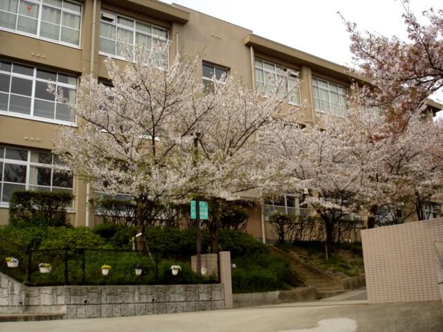 Junior high school. 857m to Nishinomiya Municipal Uegahara junior high school