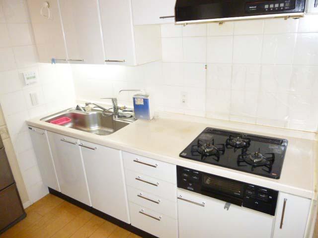 Kitchen. Indoor (12 May 2013) Shooting