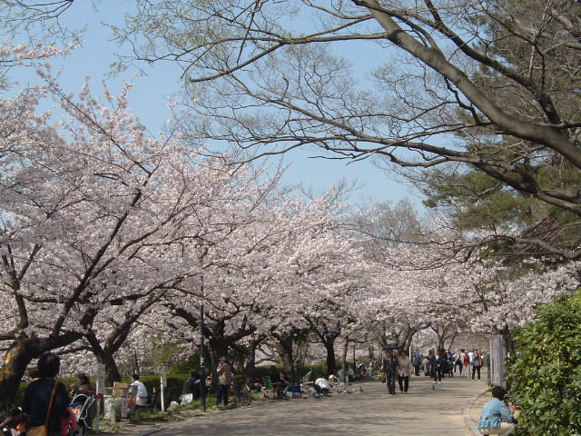 park. 750m until Shukugawa park (park)