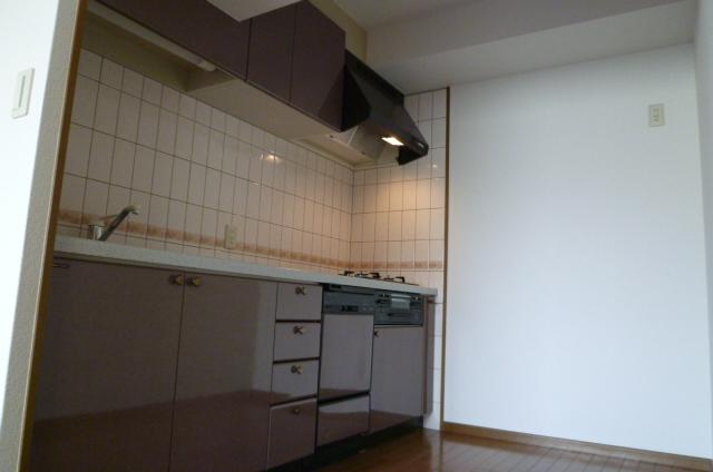 Kitchen. Indoor (April 2012) shooting