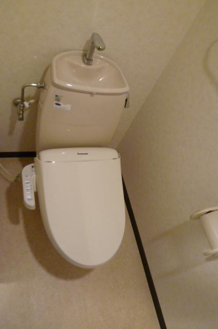 Toilet. Indoor (April 2012) shooting