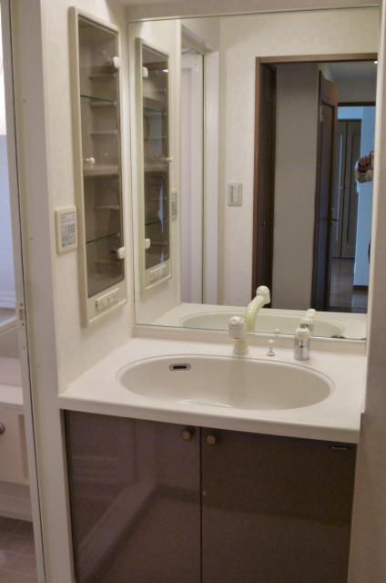 Wash basin, toilet. Indoor (April 2012) shooting