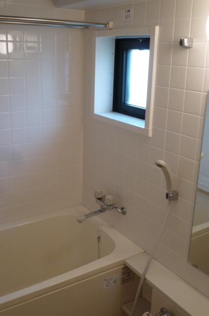 Bathroom. Indoor (April 2012) shooting