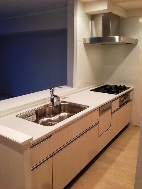 Kitchen. Dishwasher system Kitchen