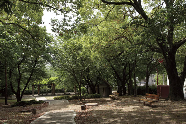 Surrounding environment. Feng Le park (a 1-minute walk ・ About 10m)