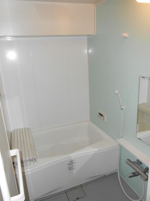 Bathroom. Indoor (12 May 2013) Shooting