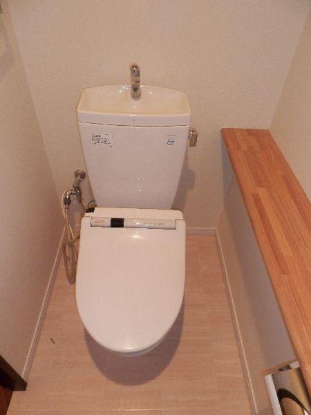 Toilet. Indoor (March 2013) Shooting