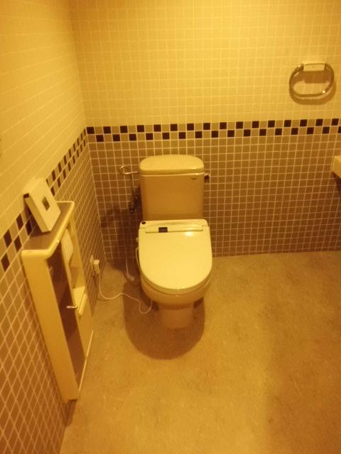 Toilet. Indoor (12 May 2013) Shooting