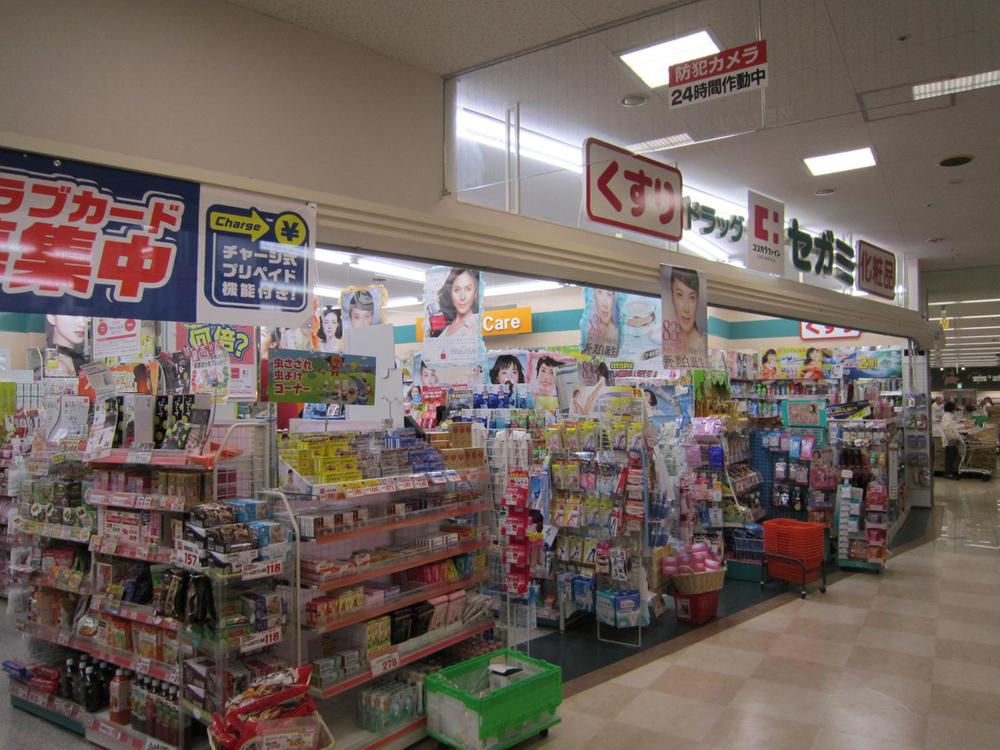 Drug store. Drag Segami Taisha 746m to shop
