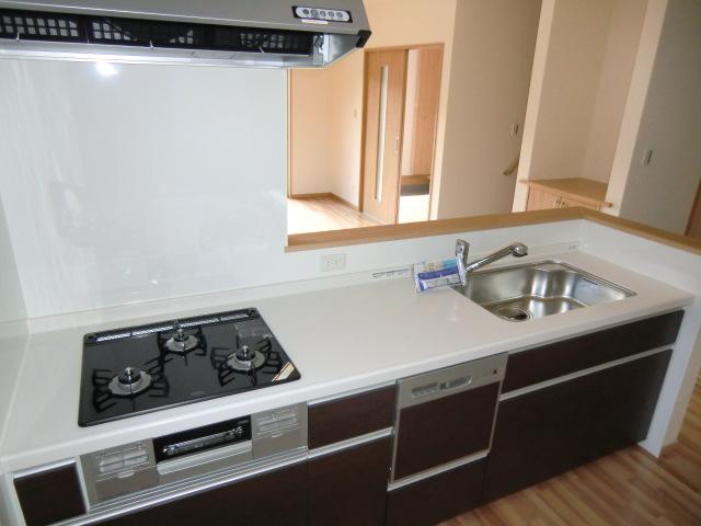 Kitchen. Local photo (kitchen) Slide storage! Water purifier with shower!  With dishwasher! 