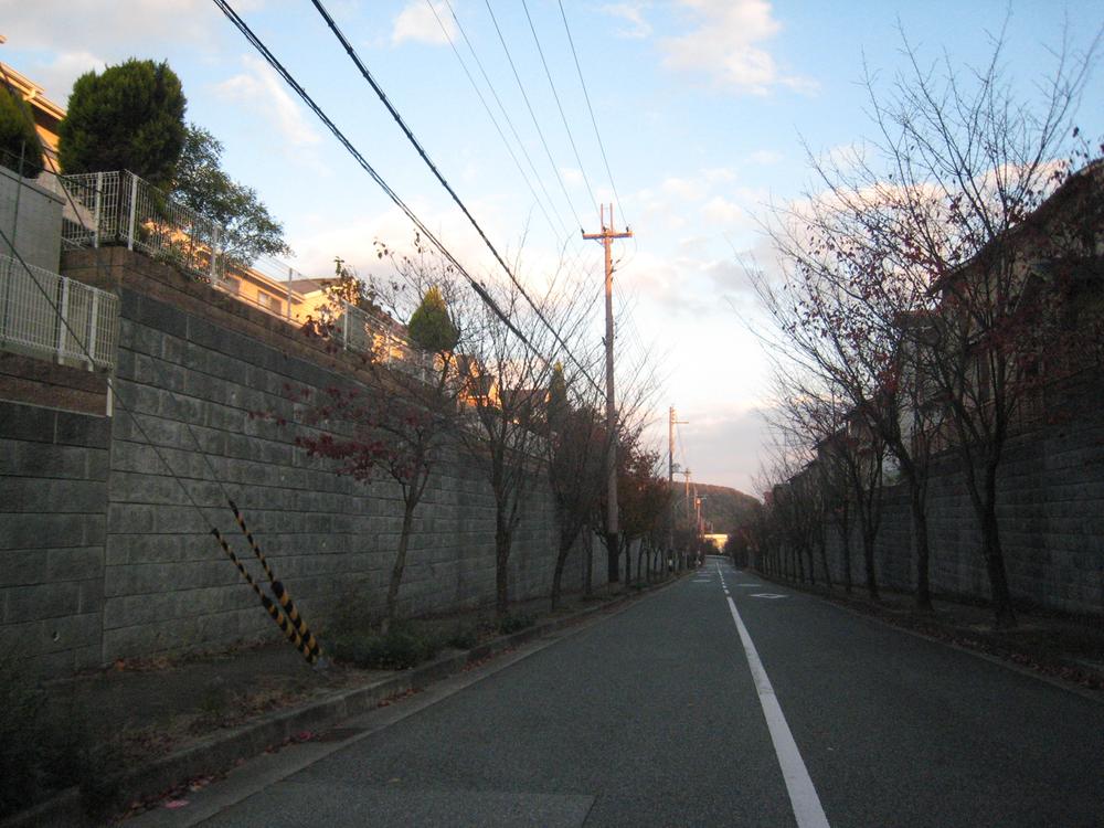 Other. South road (there is difference in height in the retaining wall)