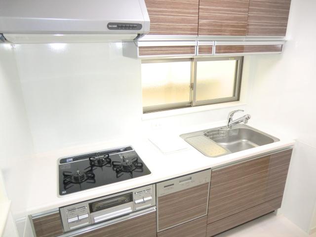Kitchen. Local photo (kitchen) Slide storage! Dishwasher dryer! 