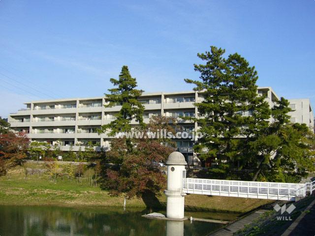 Local appearance photo. Facing the Niteko pond