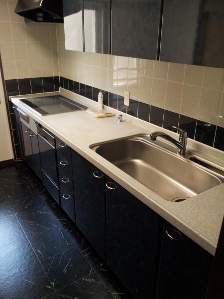Kitchen. System kitchen
