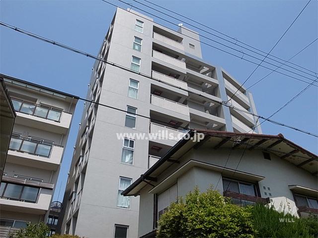 Local appearance photo. Puriore Shukugawa Sakura road of appearance (from the south)