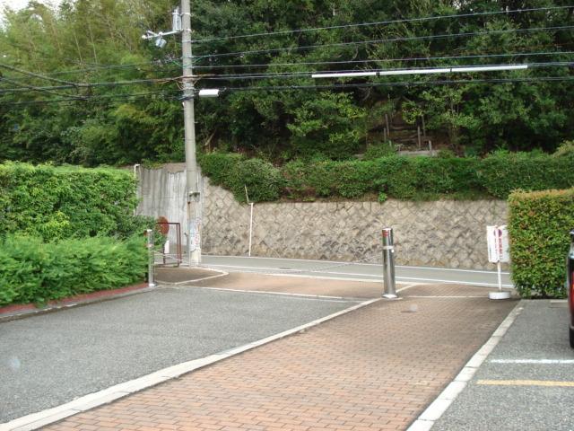 Other local