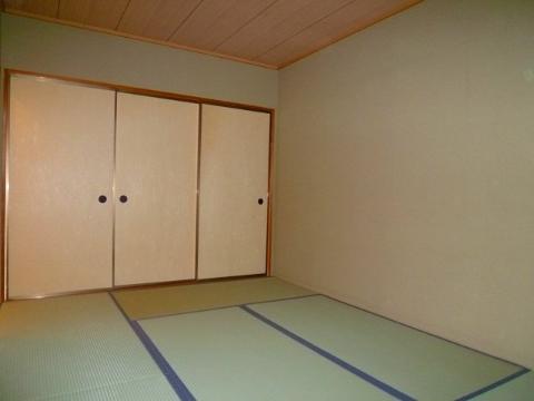 Living and room. Japanese style room