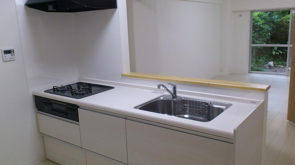 Kitchen. Face-to-face counter kitchen had made