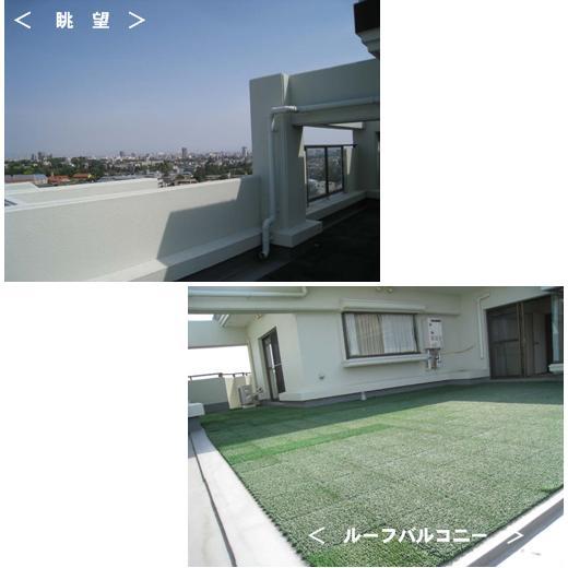Toilet. View ・ roof balcony