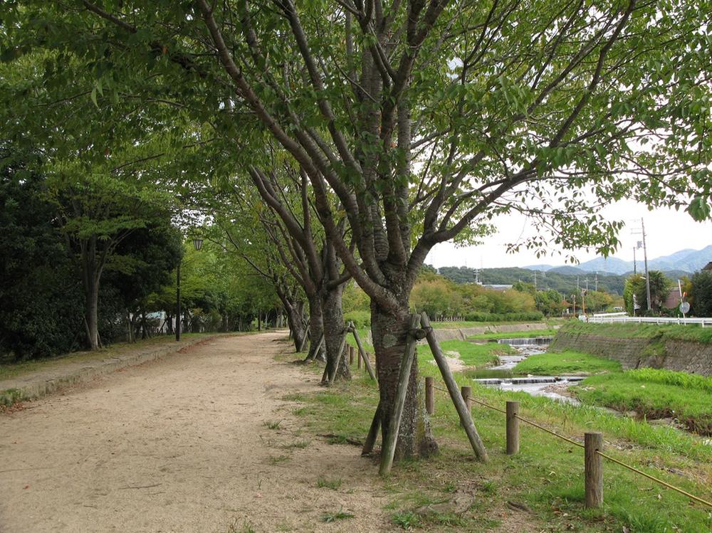 park. Natural environment is close to such as 900m row of cherry blossom trees and the firefly to Arima River green road to inhabit