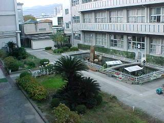 Primary school. 800m until the tile tree elementary school