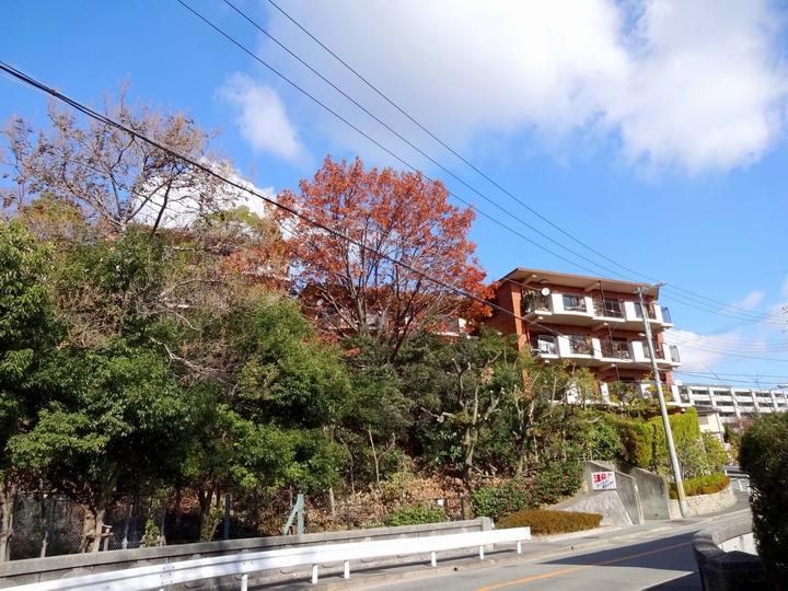 Nishinomiya, Hyogo Prefecture Koyoensan'no cho