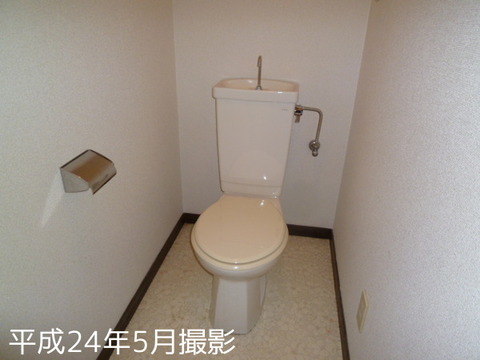 Toilet. Toilet