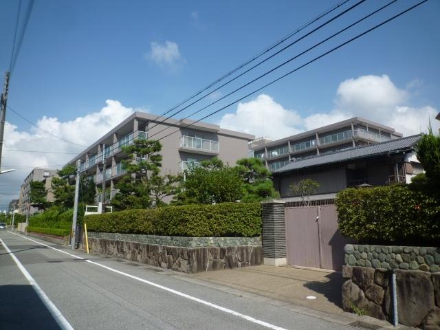 Other local