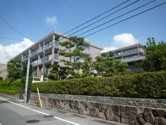 Other local