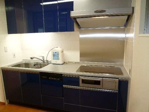 Kitchen. With dish washing dryer!