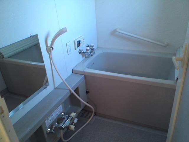 Bathroom. Bathroom equipped with a handrail