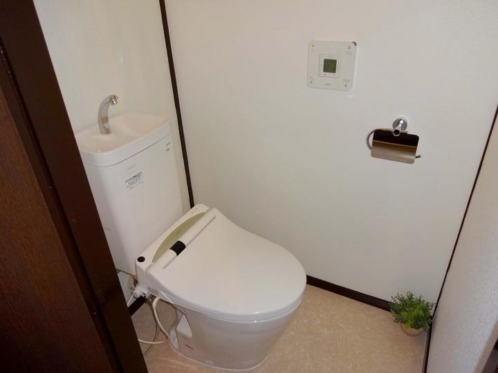 Toilet. Indoor (12 May 2013) Shooting Of course, it is with a bidet.