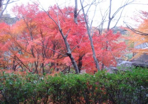 View photos from the dwelling unit.  ■ View photos (autumn) ■  You can enjoy the changing seasons. It is also recommended the view from the rooftop garden.
