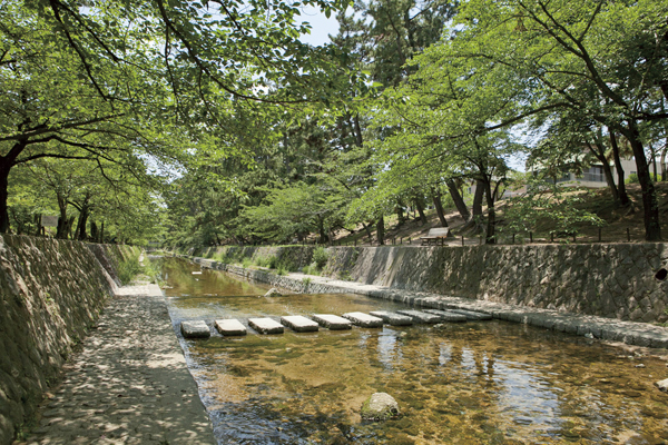 Surrounding environment. Shukugawa park (walk 21 minutes ・ About 1650m)