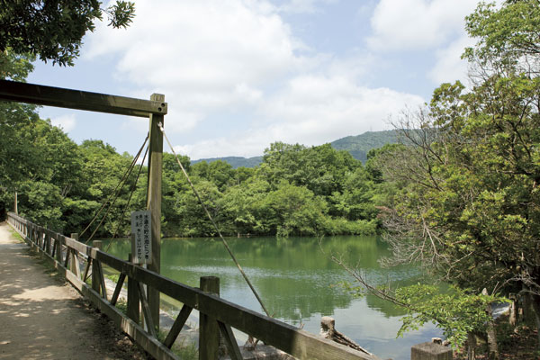 Surrounding environment. Planning area is located in the third kind scenic district to be able to inherit to the next generation the nature of lush Kabutoyama MinamiUrara (Kitayama park / Walk 21 minutes ・ About 1650m)